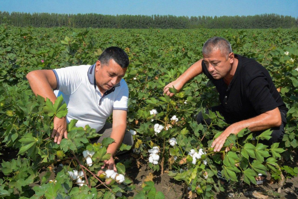 Agrar sohadagi tadbirkorlik subyektlari faoliyatiga oid qonun muhokama qilindi