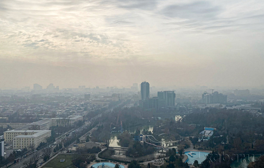 Toshkentning har bir ko‘chasiga toza havo olib kirishga qaratilgan tizimli ishlar boshlandi