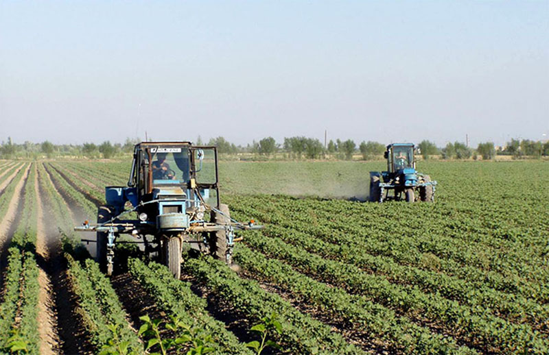 Zamonaviy agrobiznes sari qadam: davlat siyosati va strategik islohotlar
