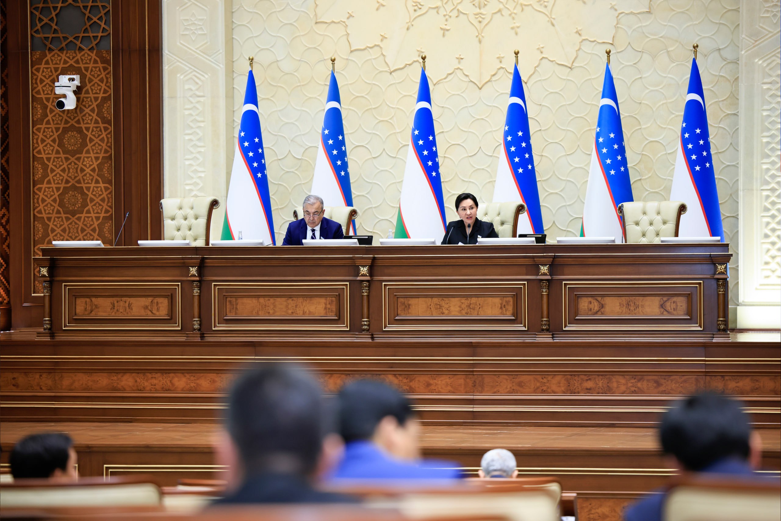 Ipakchilikni rivojlantirish masalalari yuzasidan Hukumatga parlament soʻrovi yuboriladi